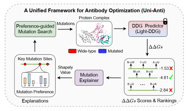 A Simple yet Effective DDG Predictor is An Unsupervised Antibody Optimizer and Explainer